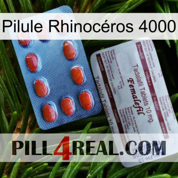 Pilule Rhinocéros 4000 36